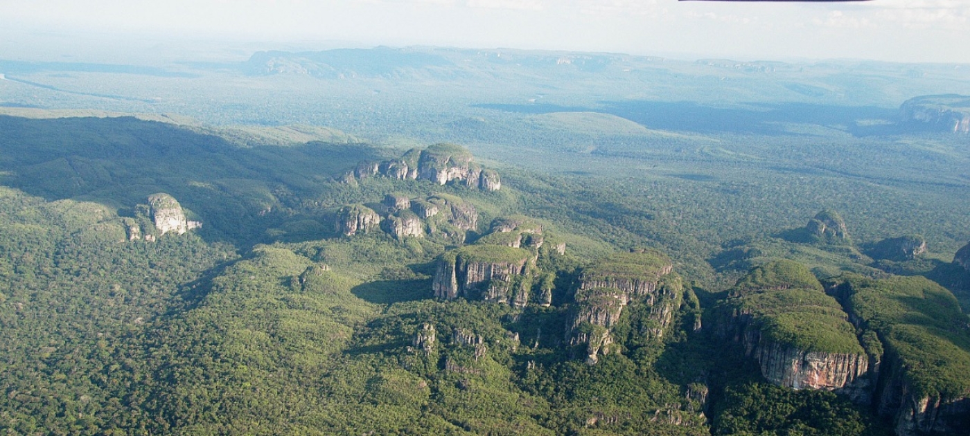 Colombia to host 2020 World Environment Day on biodiversity Photo: UNEP