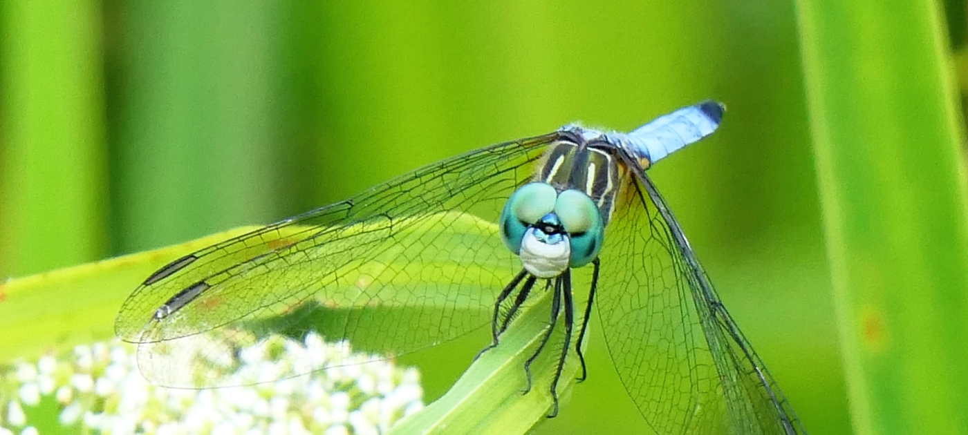 UNEP@50 - Act for Nature Image: Unsplash/Patti Black