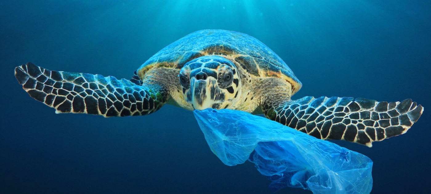 New youth-oriented web series explores toll of plastic pollution Photo: UNEP