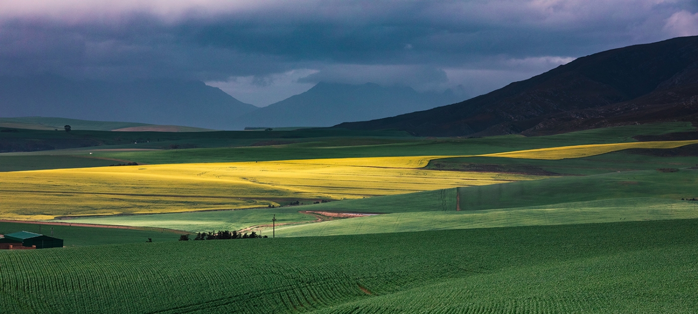 Sustainable insurance in a time of planetary crisis Photo by Charl Folscher/ Unsplash
