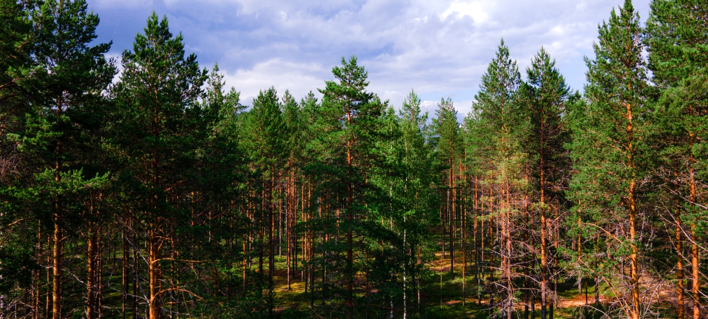 UNEP at 50: Past and future Photo by Saikrishna Saketh Yellapragada/ Unsplash
