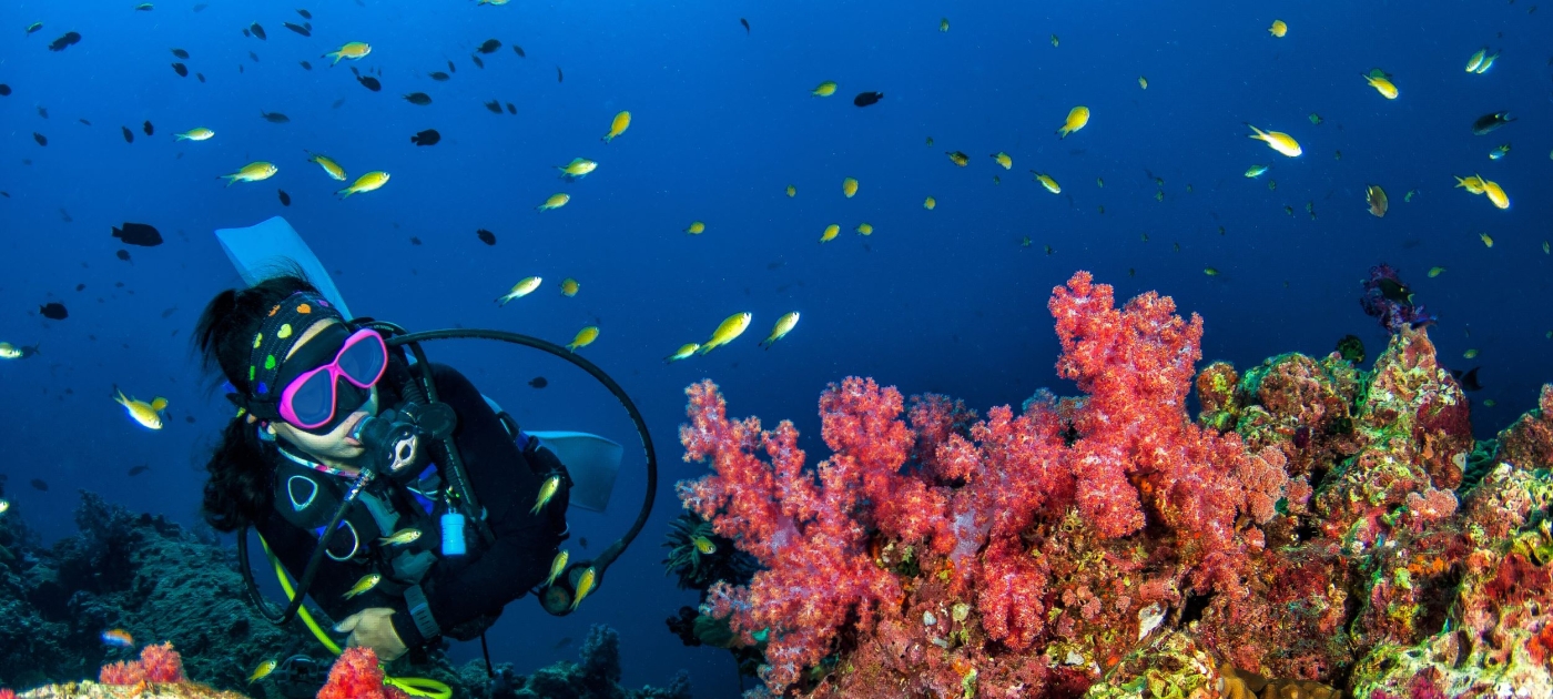 Four tips for planning a sustainable diving holiday Photo: Shutterstock