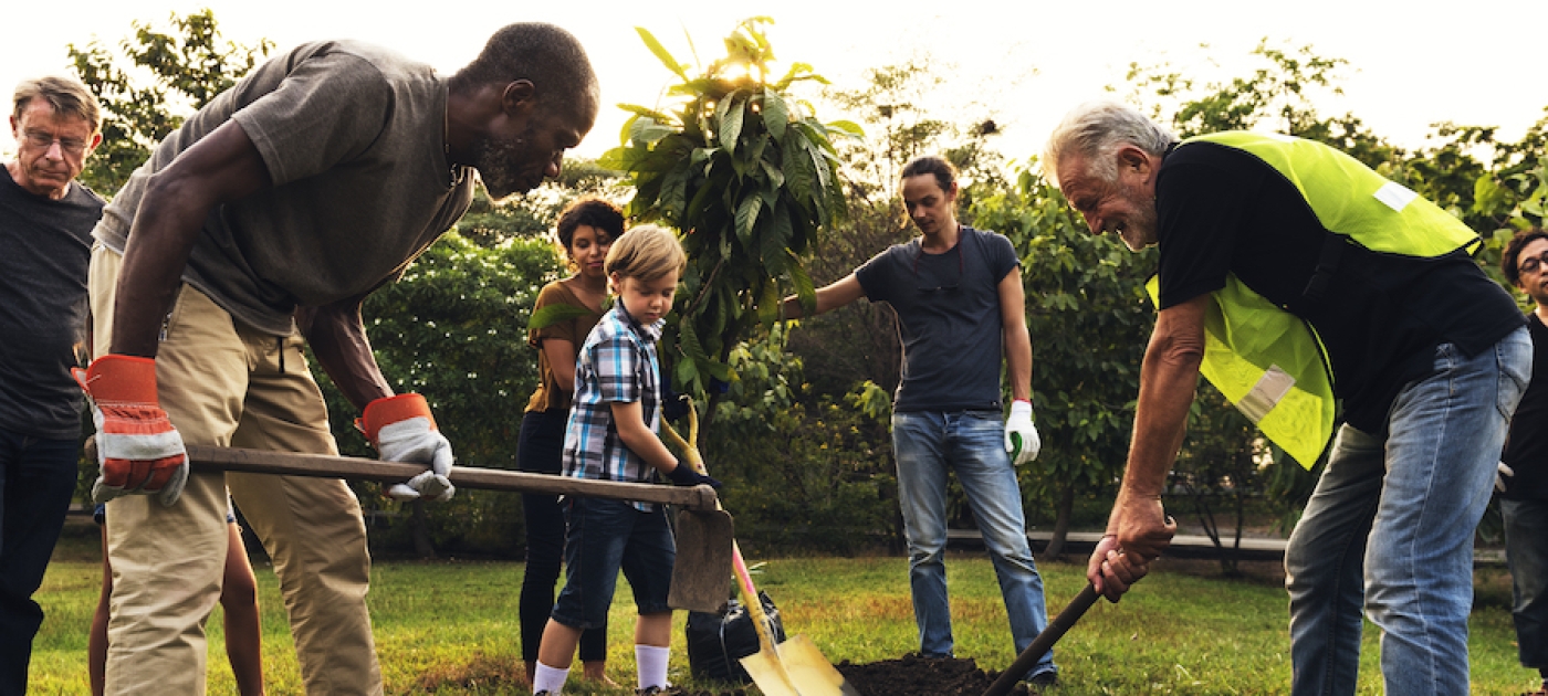 Millions prepare to celebrate World Environment Day Photo: Shutterstock/Rawpixel
