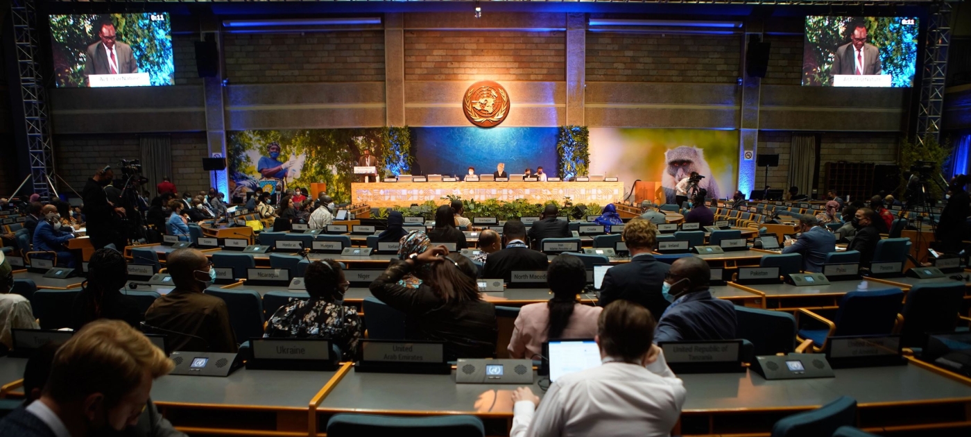 Looking back at 50 years of environmental multilateralism Photo: UNEP