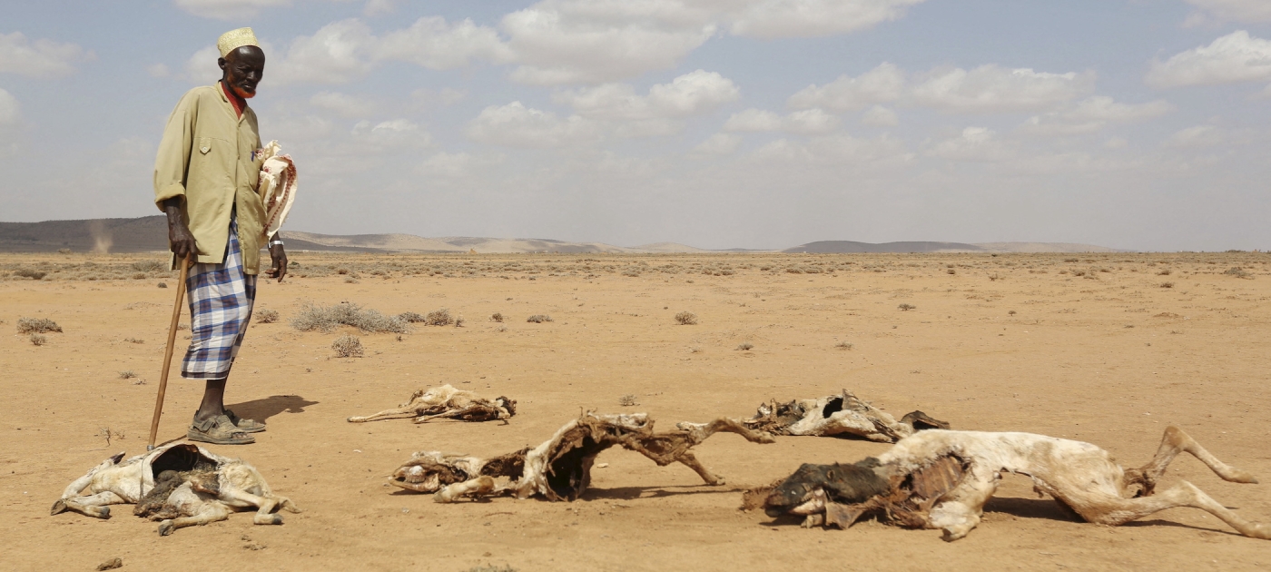 Photo: Reuters/Feisal Omar