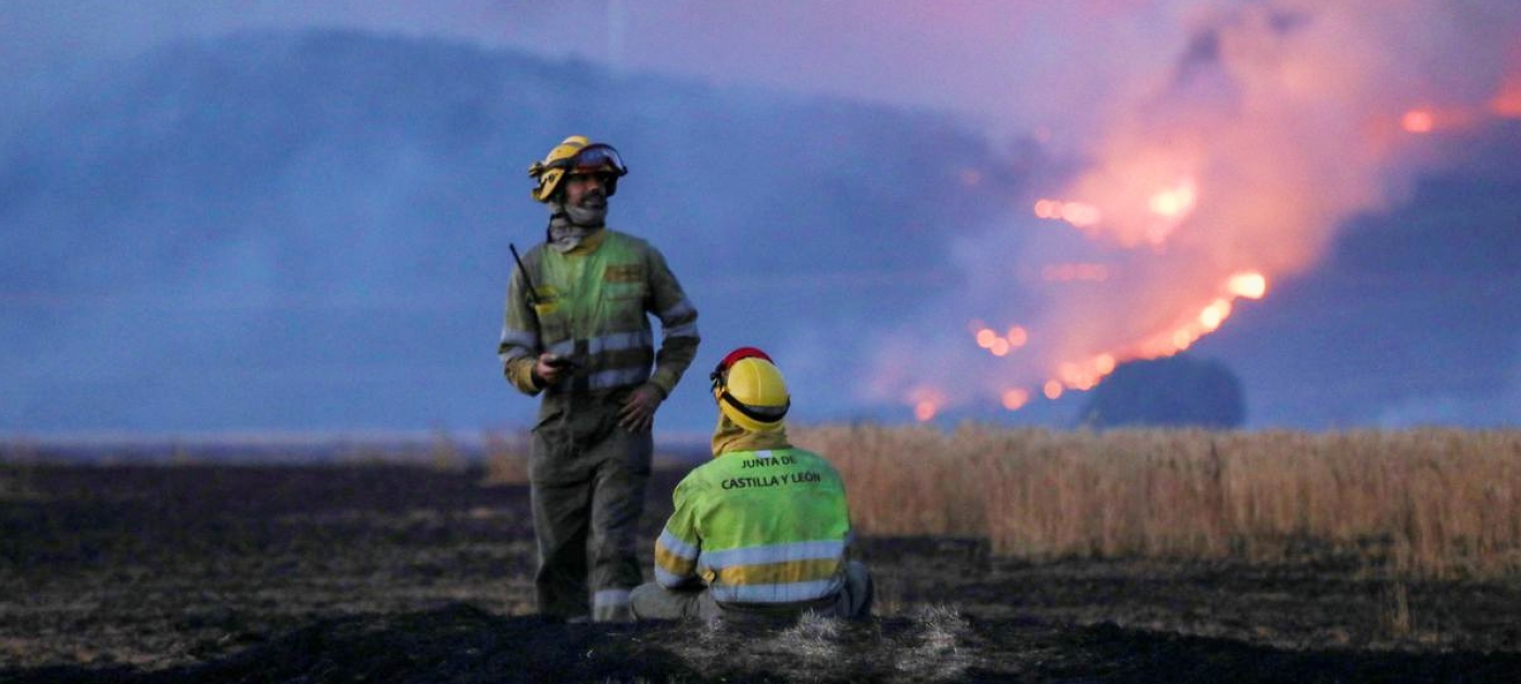 Ciudades que buscan soluciones en la naturaleza ante las olas de calor que cubren Europa Photo by Reuters