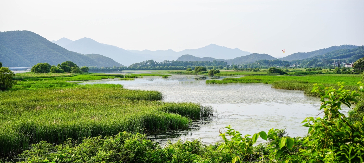 Photo:Unsplash/James Park
