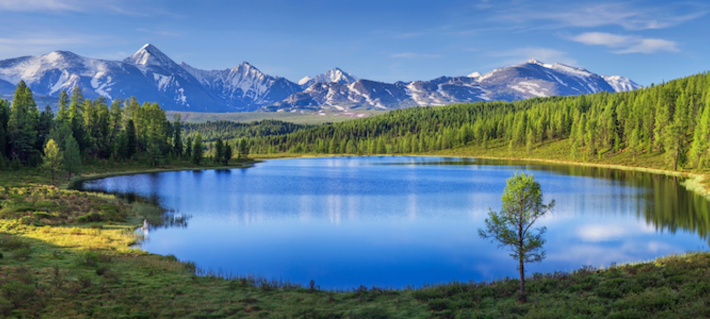 Norway steps up support for UNEP in landmark partnership Photo: Shutterstock