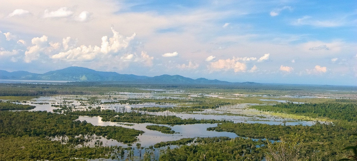 CIFOR/Ramadian Bachtiar