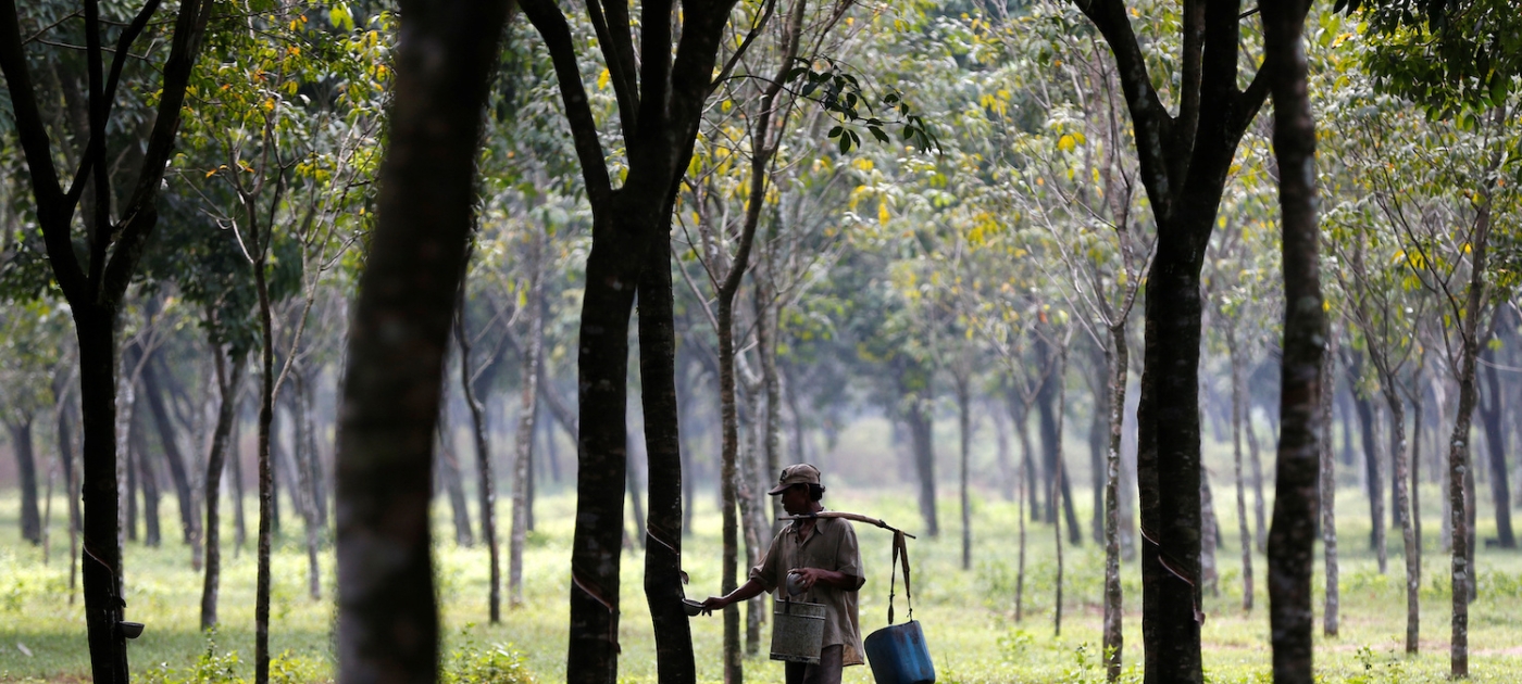 How innovative finance is helping to protect Indonesia’s forests Photo: Reuters/Darren Whiteside