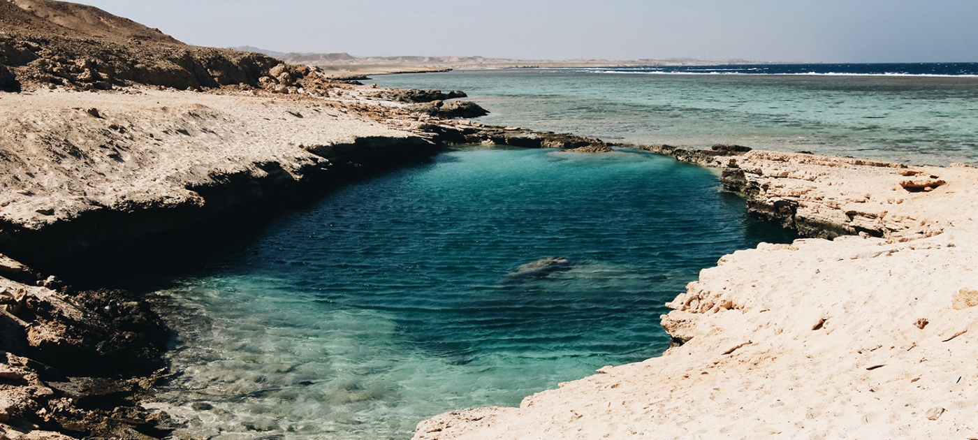 Biodiversity and Oceans: Road to Sharm El-Sheikh Photo by Isabella Juskova/ Unsplash