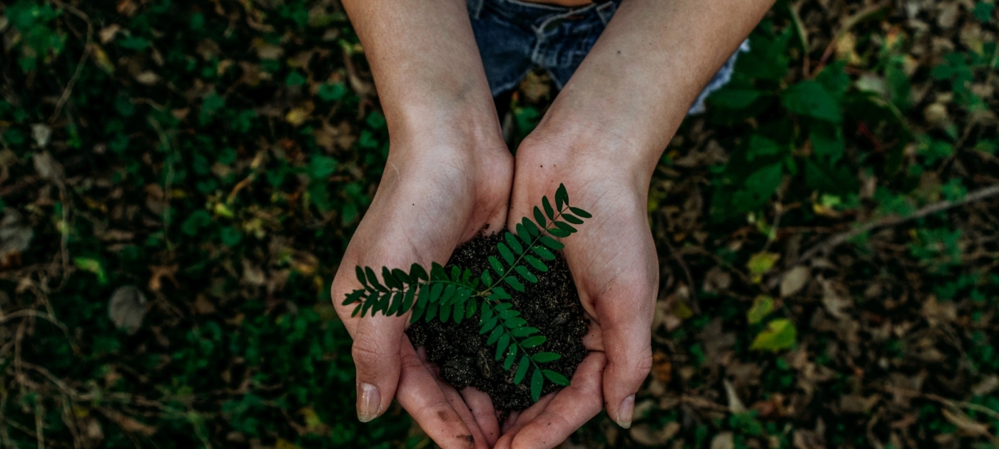 Restauração de Ecossistemas e Desenvolvimento Socioeconômico <nolink>