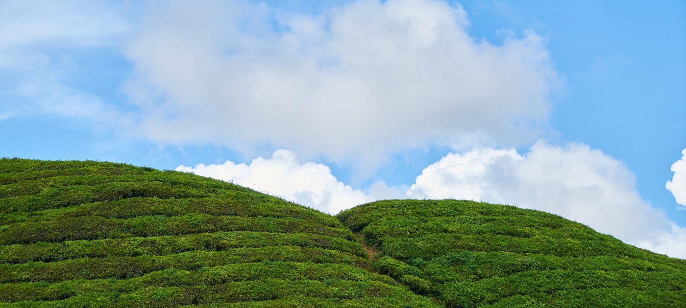 Actions to improve the ‘air we share’ unveiled in new Plan for Latin America and the Caribbean Pixabay