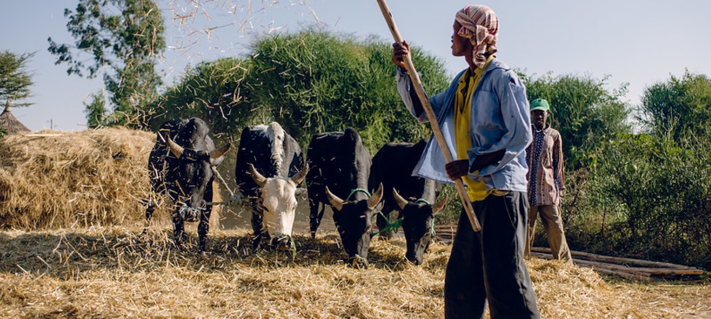 What's the deal with methane? Photo: Ollivier Girard/CIFOR