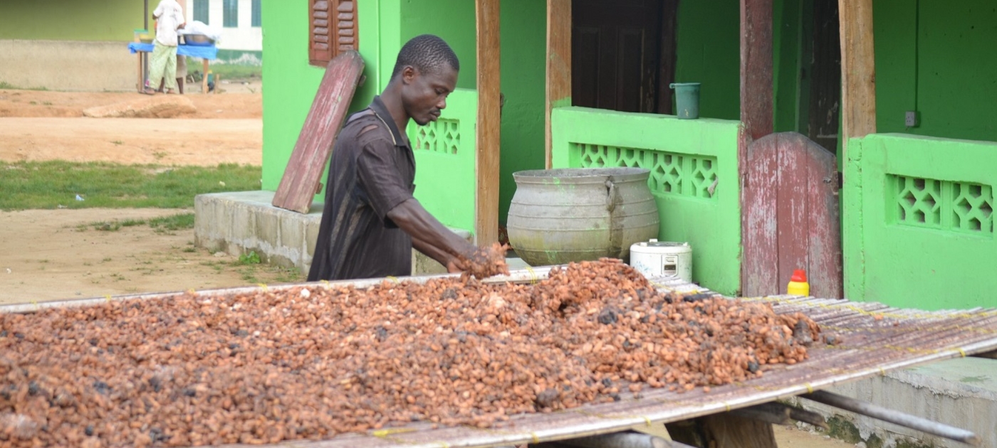 Shifting the needle on cocoa production practices worldwide Photo by Ecosystem Service for Poverty Alleviation/Flickr