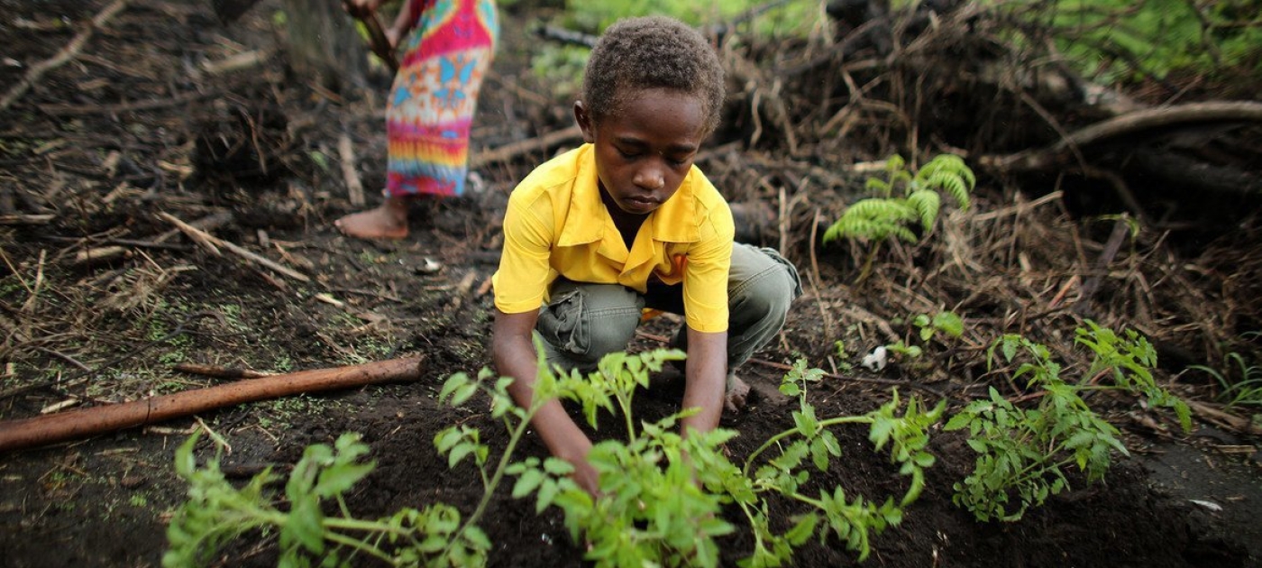5 ways countries can adapt to the climate crisis Photo: UNICEF/Josh Estey