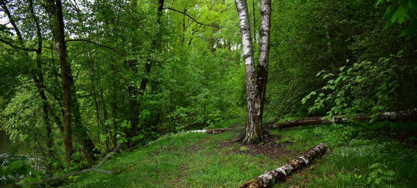 UNEP and Green Finance Institute partner on podcast series for nature ahead of COP27 Anekcen