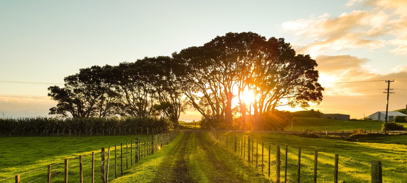One Health for One Planet Photo: Unsplash