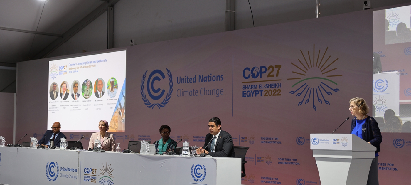 Towards a new plan for biodiversity Photo by UNEP