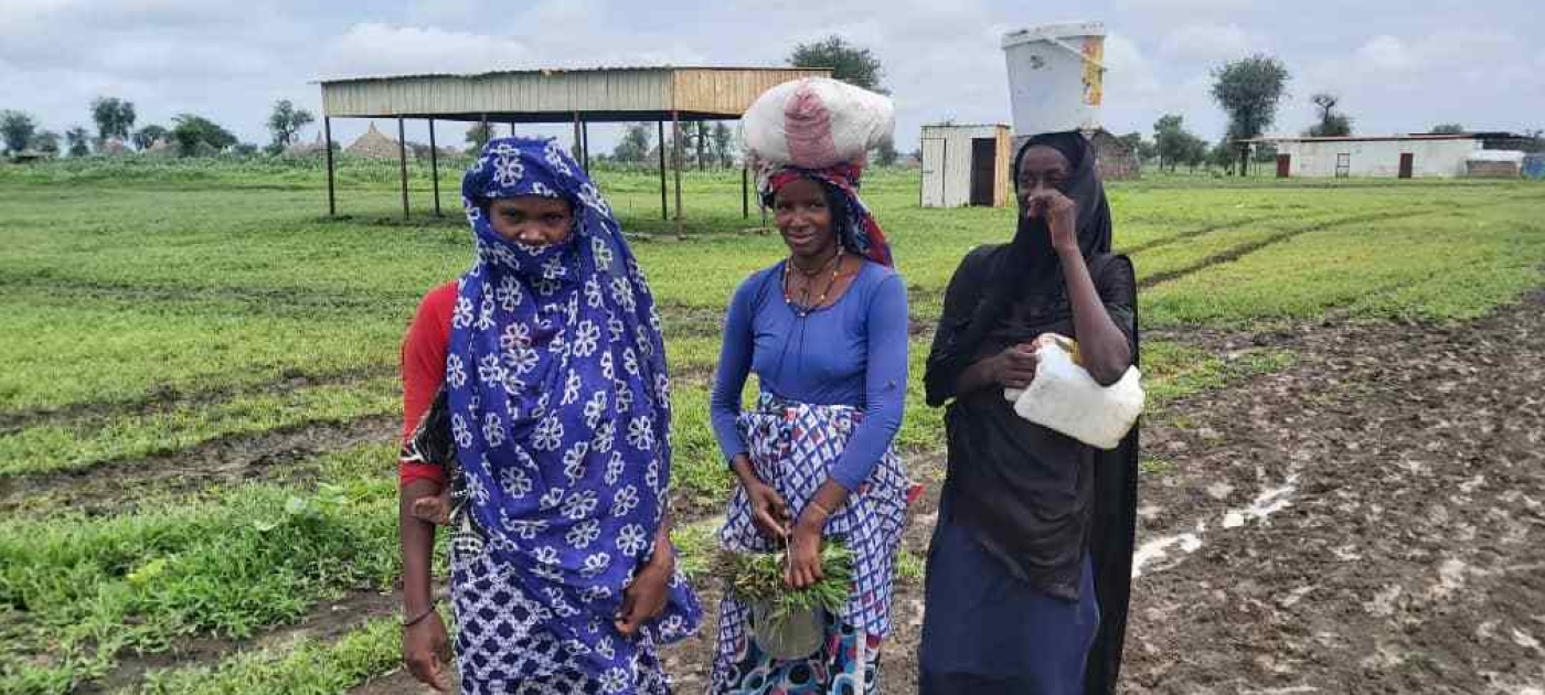 In Sudan, conflict and environmental decline go hand in hand Photo: UNEP