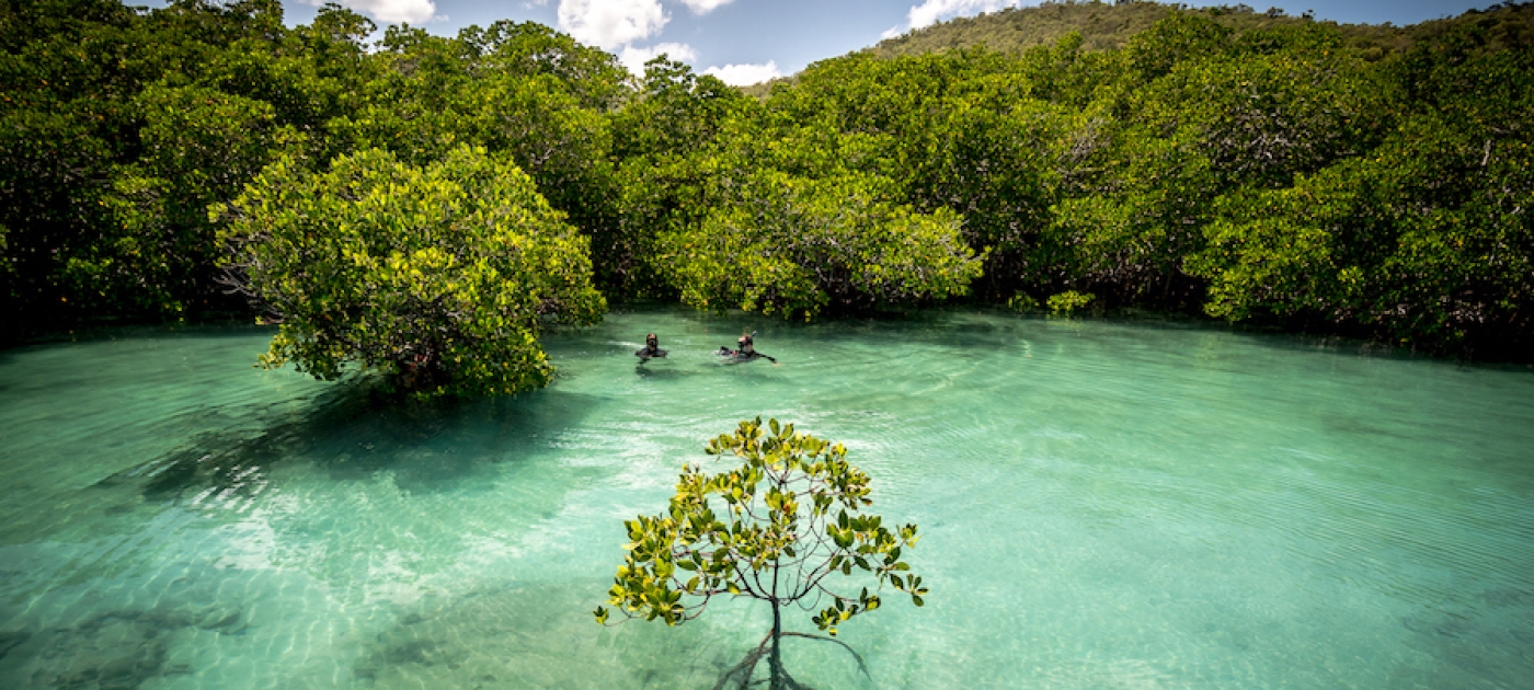 Photo: The Ocean Agency/Matt Curnock