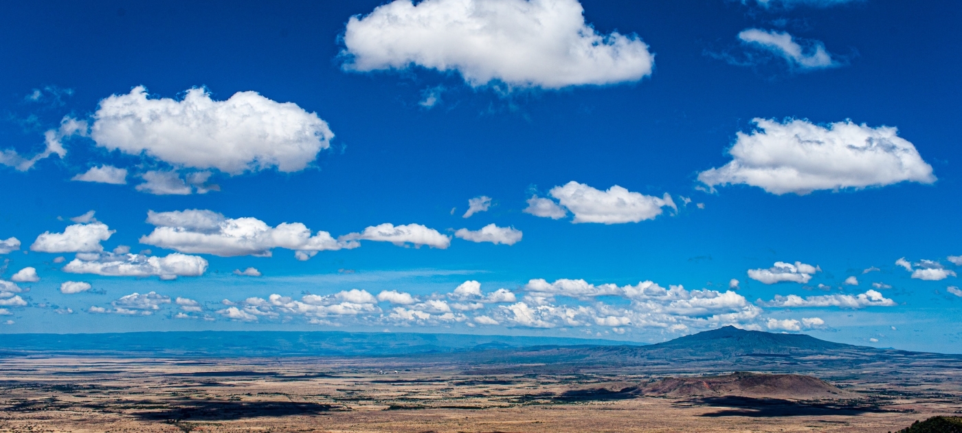 Ecosystem restoration in the climate solutions space Photo: Unsplash