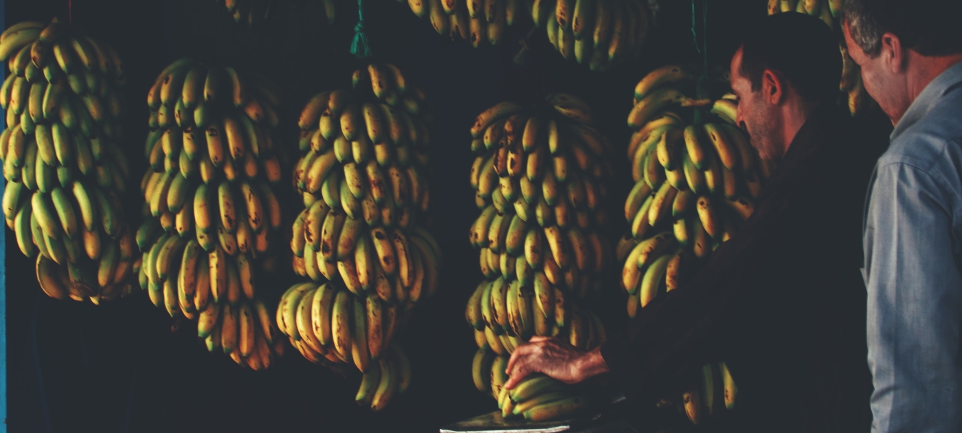 Amid food and climate crises, investing in sustainable food cold chains crucial Unsplash