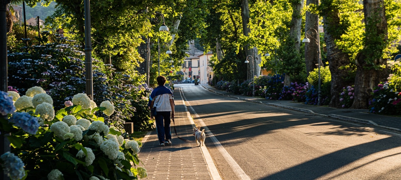 UN launches challenge for cities to harness the power of nature for cooling Pixabay