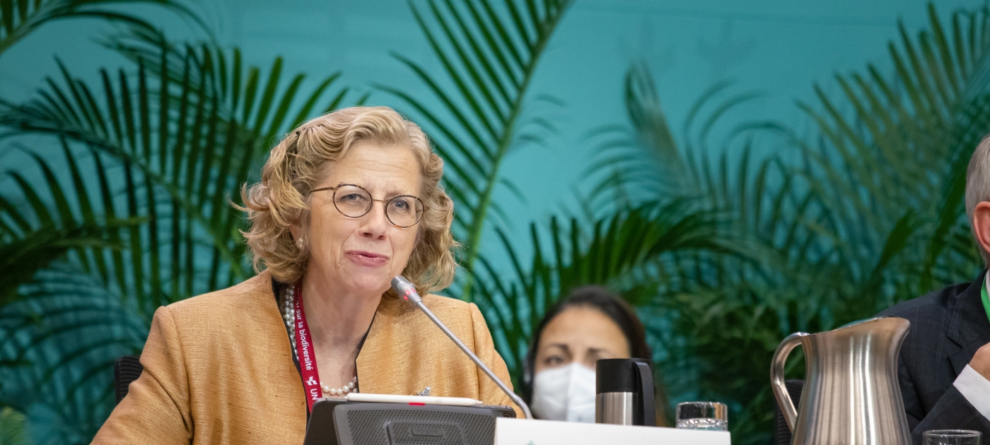 UNEP Executive Director on Global Biodiversity Framework Photo: UNEP