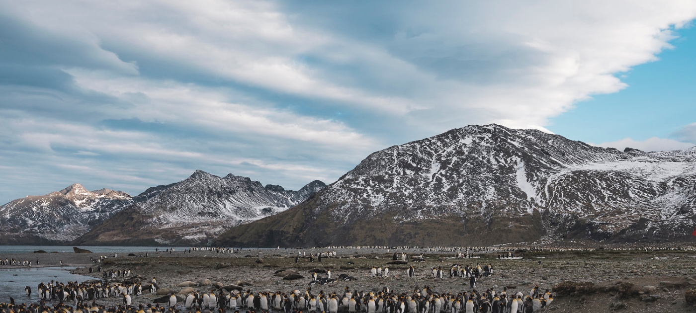 Nature’s Dangerous Decline ‘Unprecedented’ Species Extinction Rates ‘Accelerating’ Photo: UN Environment