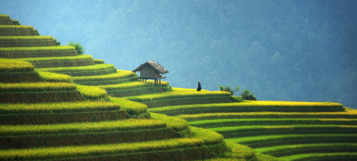 3 cutting-edge financial tools helping to mend the planet Photo: Getty Images/SasinT Gallery