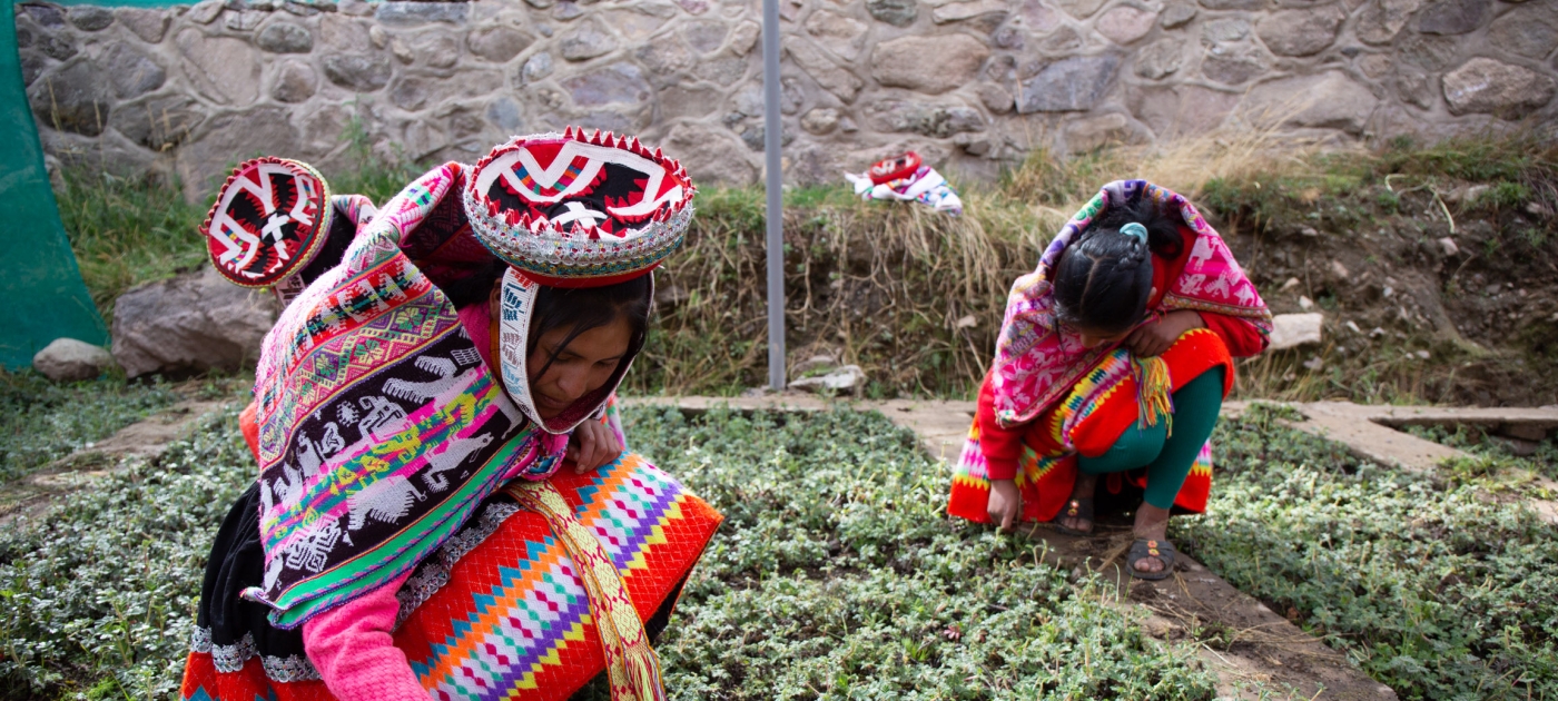 © UNEP / Diego Rotmistrovksy