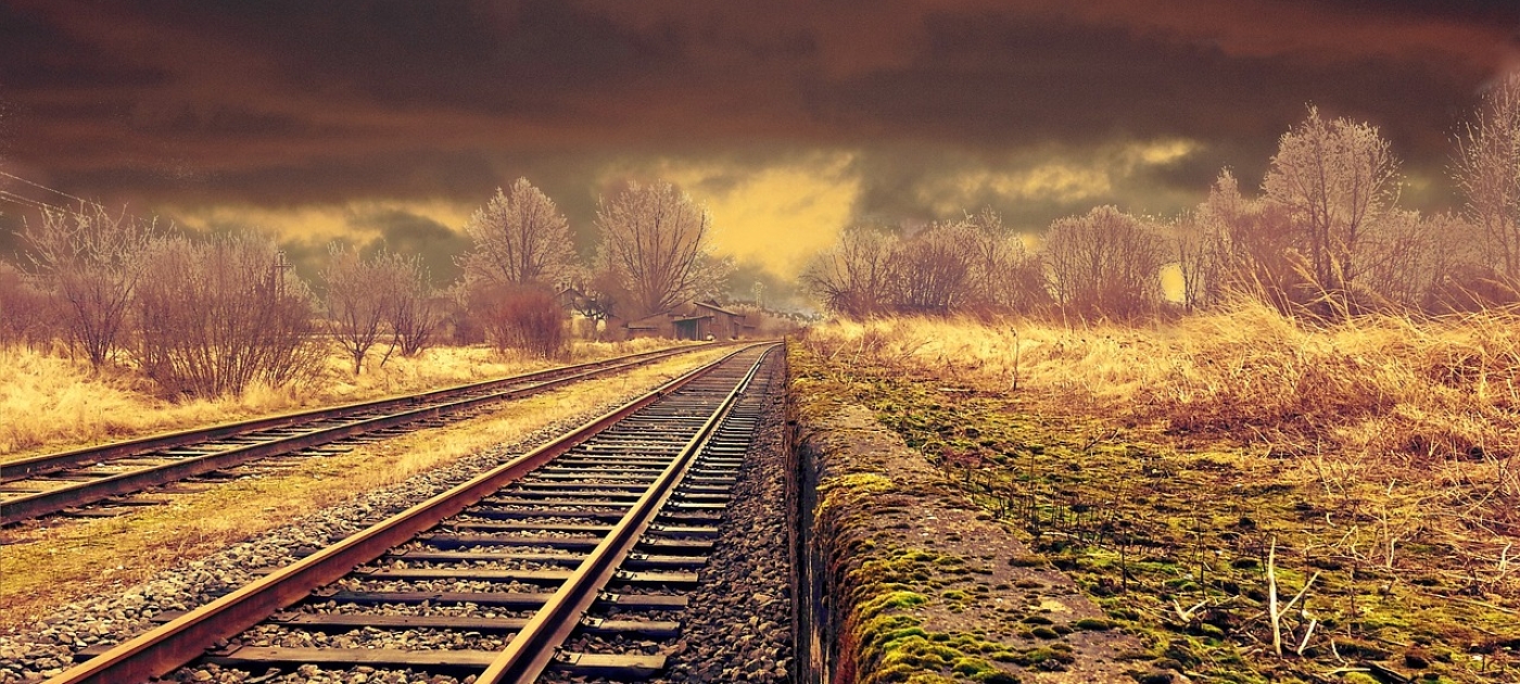 Global study weighs up environmental risks and economic benefits of major transport projects Pixabay