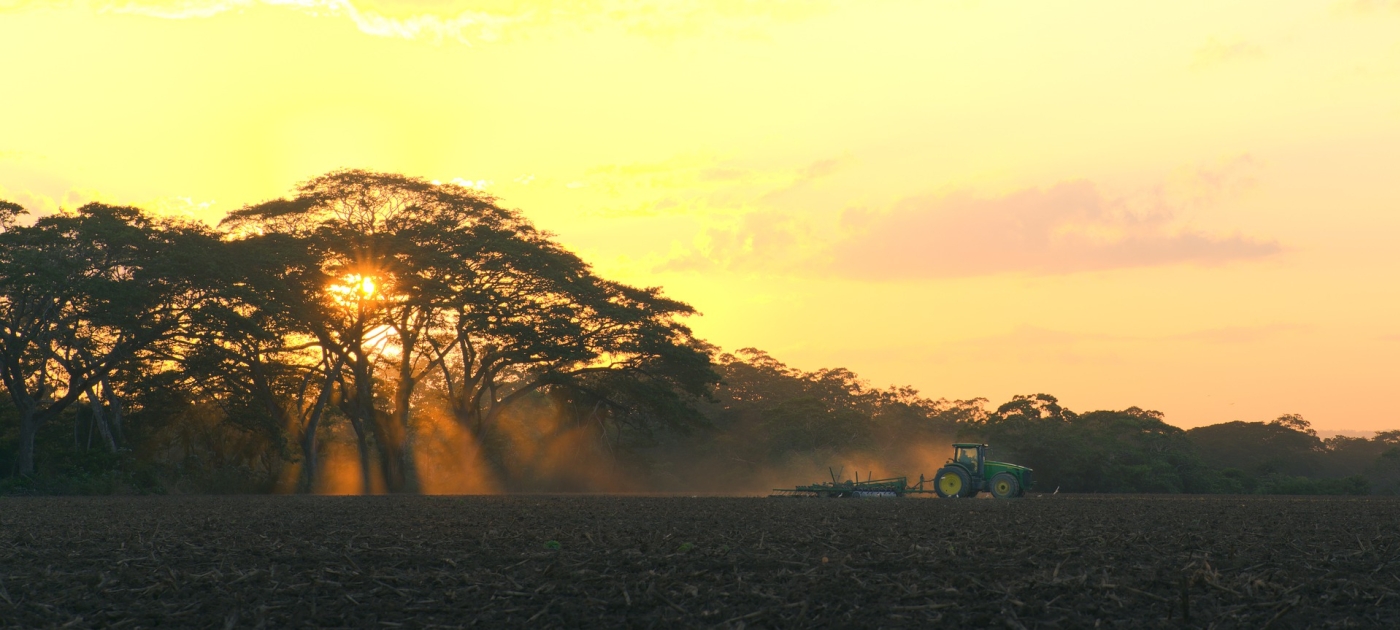 Nature-based Solutions can generate 20 million new jobs, but “just transition” policies needed Pixabay