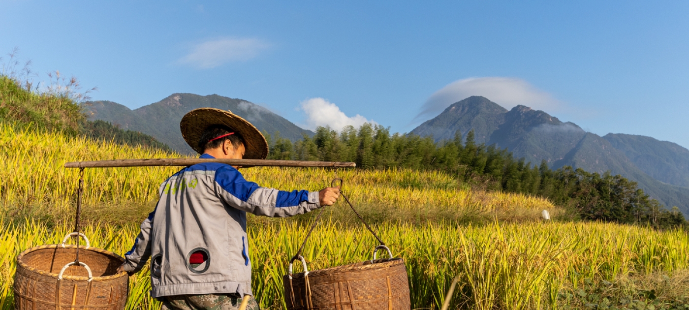 Science and tradition drive China-wide effort to restore landscapes Braunosarus Studios / UNEP