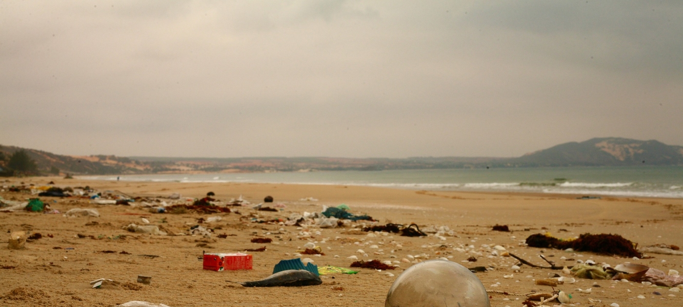 Civil society to tackle plastic pollution Photo credit: Pixabay/sergeitokmakov