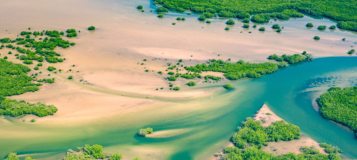 UN Environment's Ogoniland Assessment Back in Spotlight Unsplash/Curioso Photography