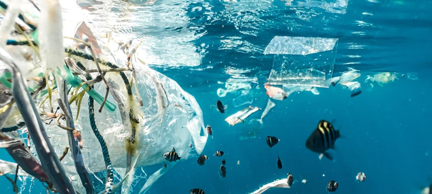 zerowaste
