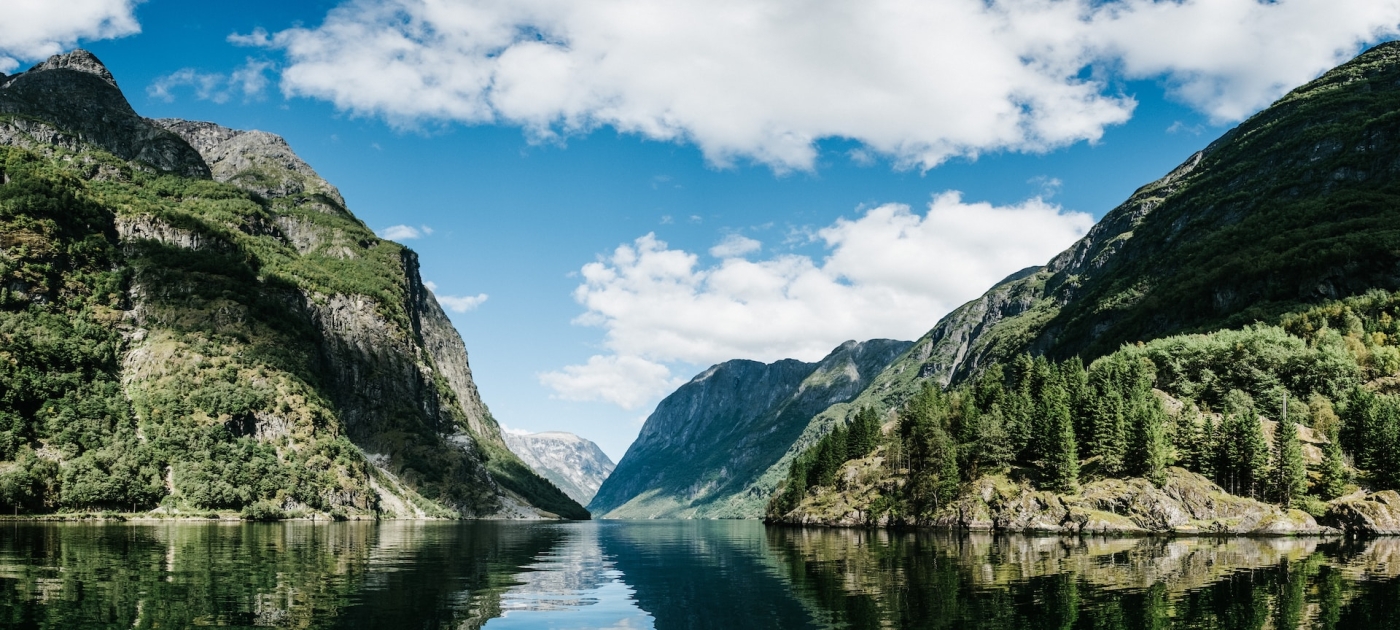 Countering biodiversity loss, plastic pollution a priority for Nordic countries Robert Bye/Unsplash