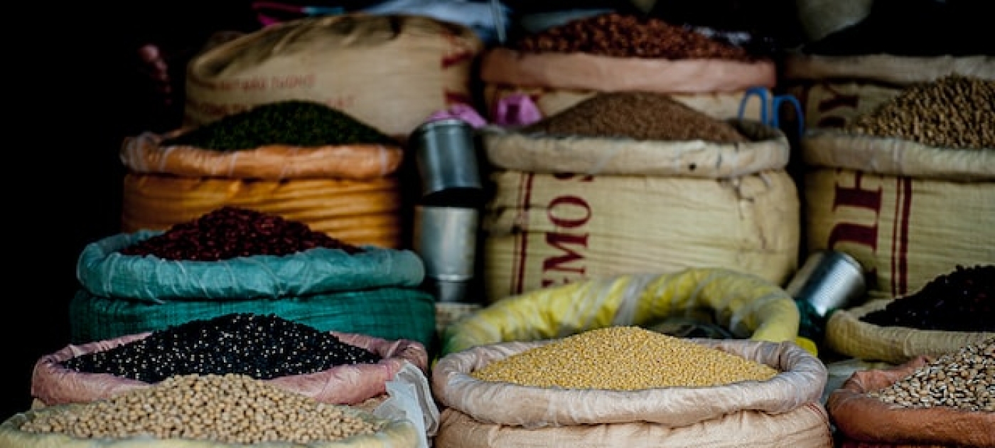 Comércio de commodities agrícolas: impactos e desafios para a sustentabilidade no Brasil <nolink>