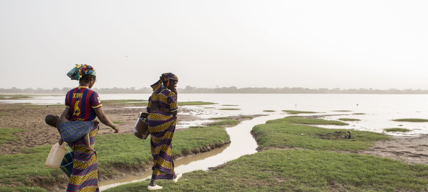 The Great Green Wall is the wall we need ©FAO/Giulio Napolitano