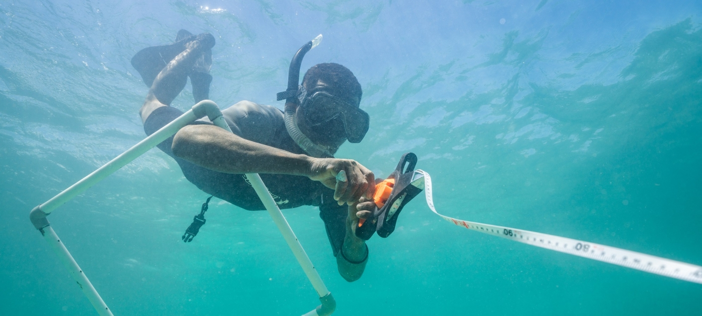 How small grants are helping to rescue marine habitats around the world Blue Ventures