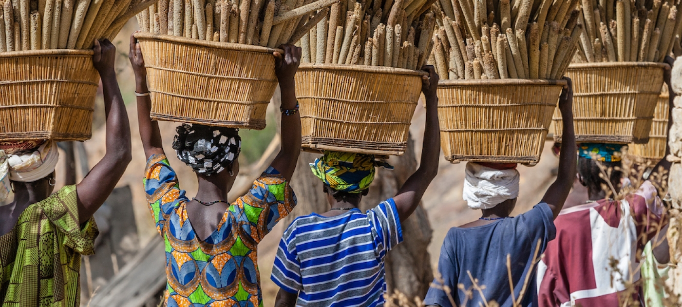 L’application qui aide les agriculteurs à résister à la crise climatique en Afrique de l’Ouest Photo: GettyImages/Philippe Marion
