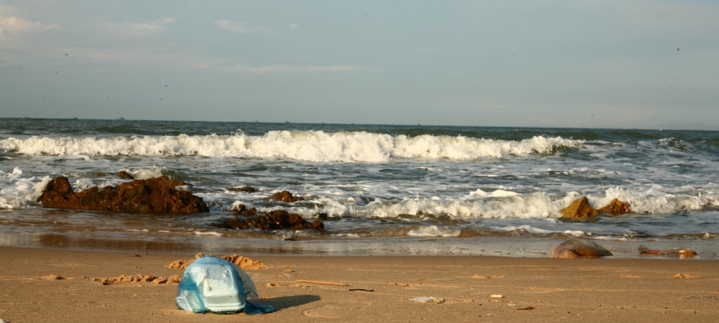 UN, India and UK partner with young leaders globally to combat plastic pollution Pixabay