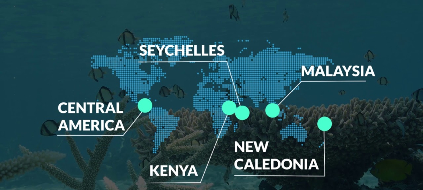 ICRI/UN Environment Small Grants Programme #