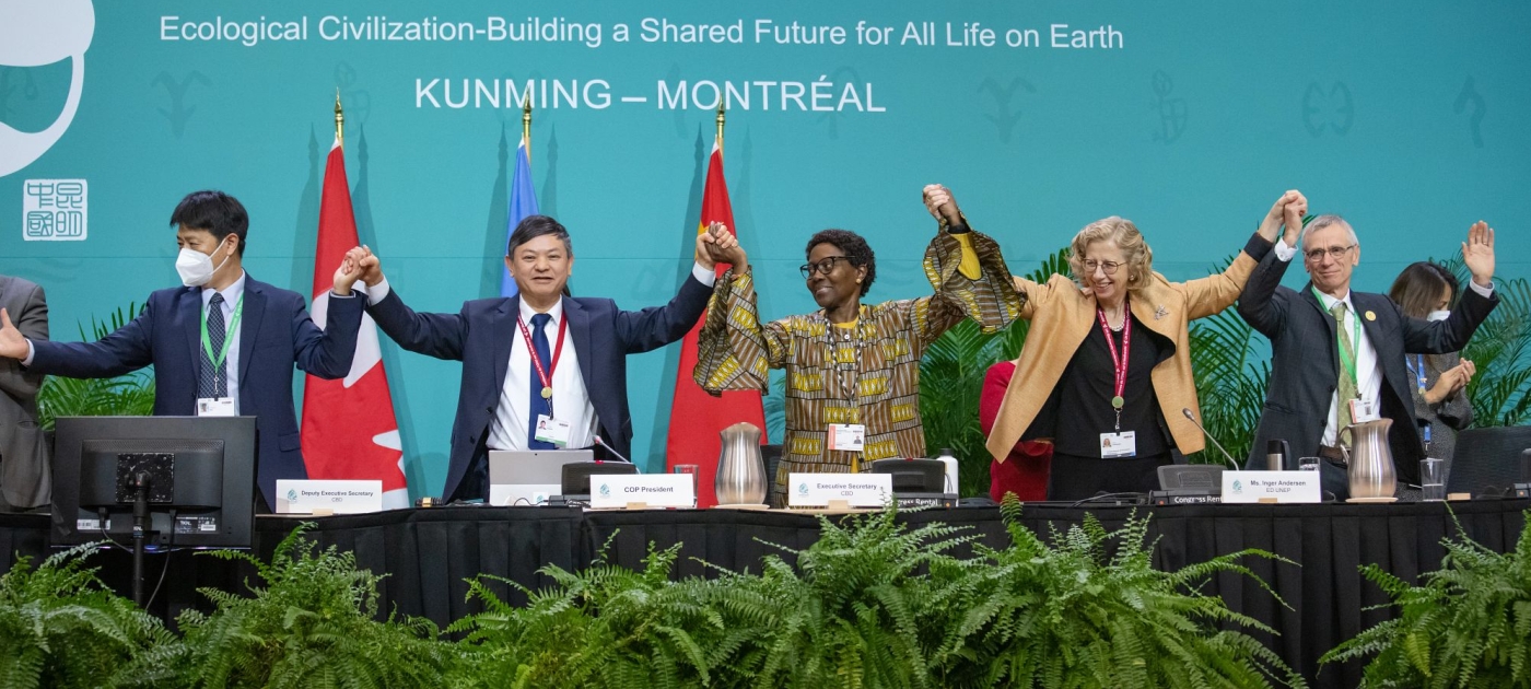 From agreement to action: The road ahead for the Global Biodiversity Framework UNEP/Duncan Moore