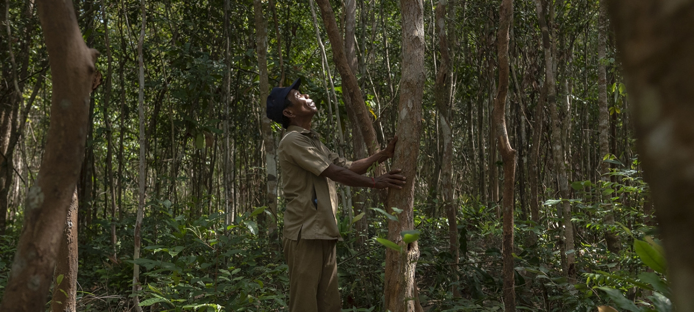 Shifting consumer behaviour key to protecting forests in the Lower Mekong Photo by UNEP/ Cory Wright, 2022