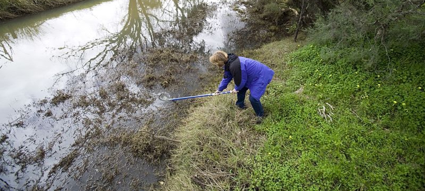 A new portal aims to improve water quality through better data Photo Credit :David McClenaghan
