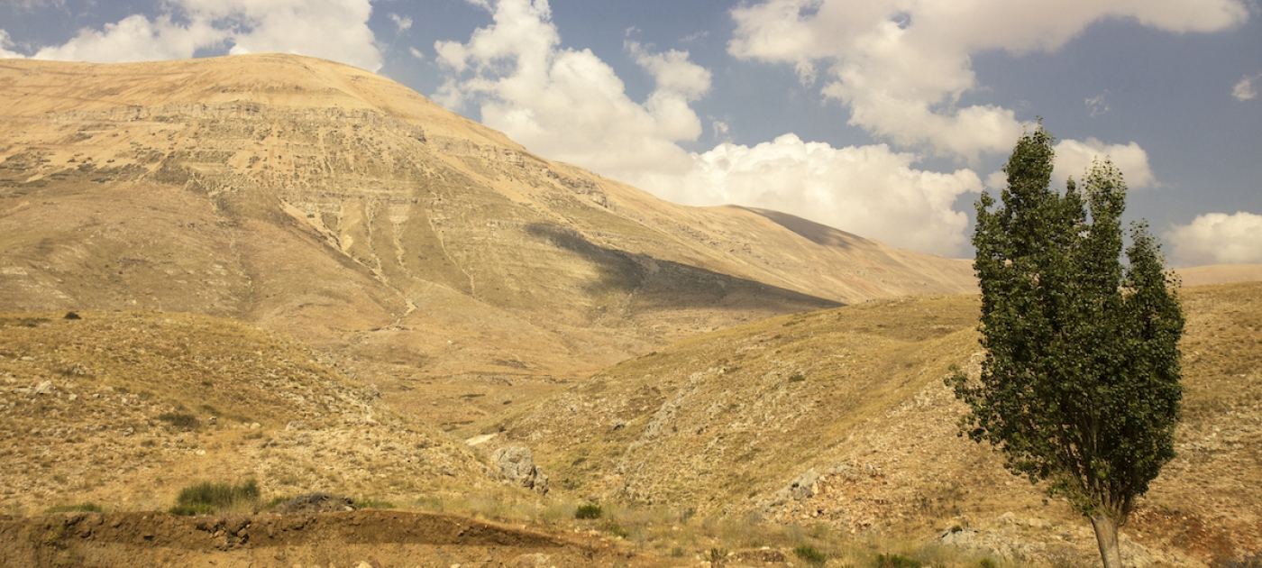 Breathing new life into Lebanon’s parched rangelands Photo: Getty Images