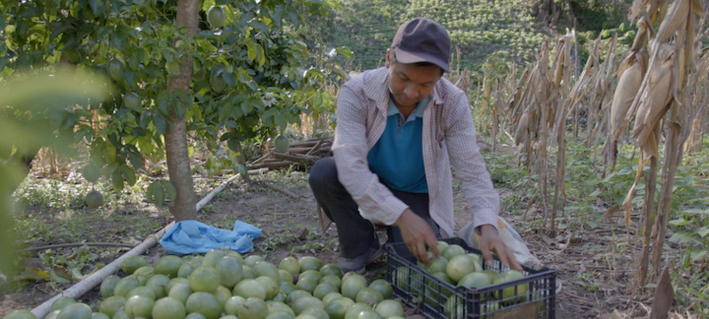 Helping farmers beat the climate crisis in Central America’s Dry Corridor UNEP/Samuel Díaz Fernández
